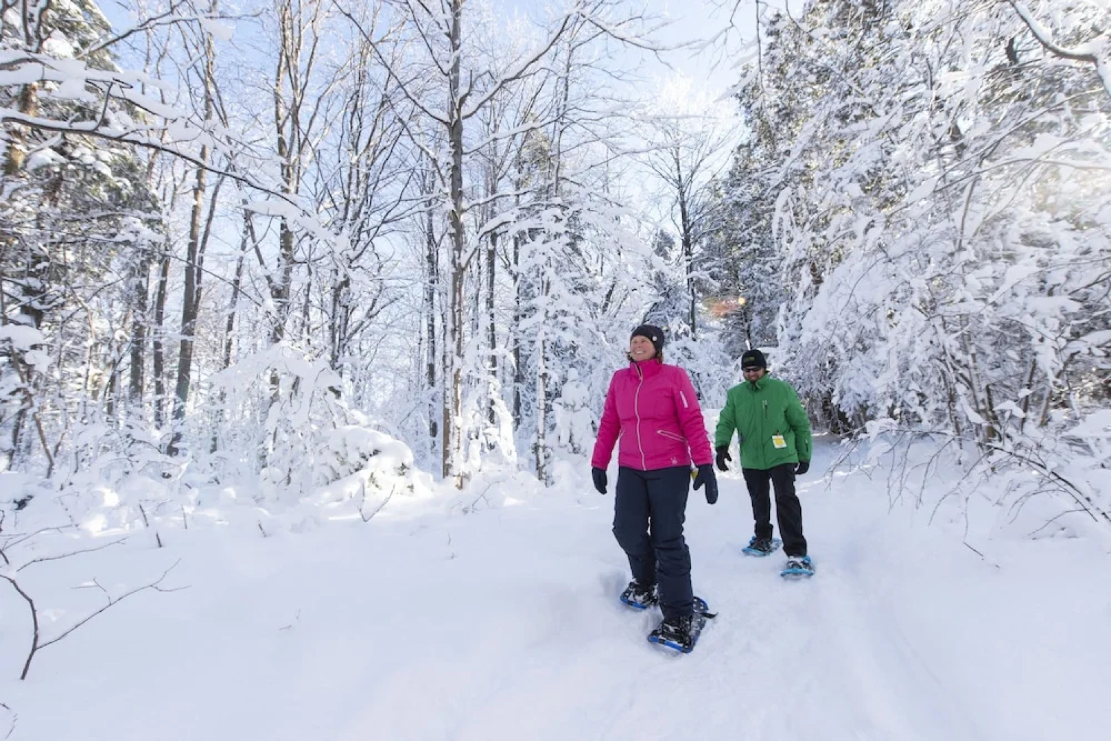 Mosaic At Blue Mountain Resorts