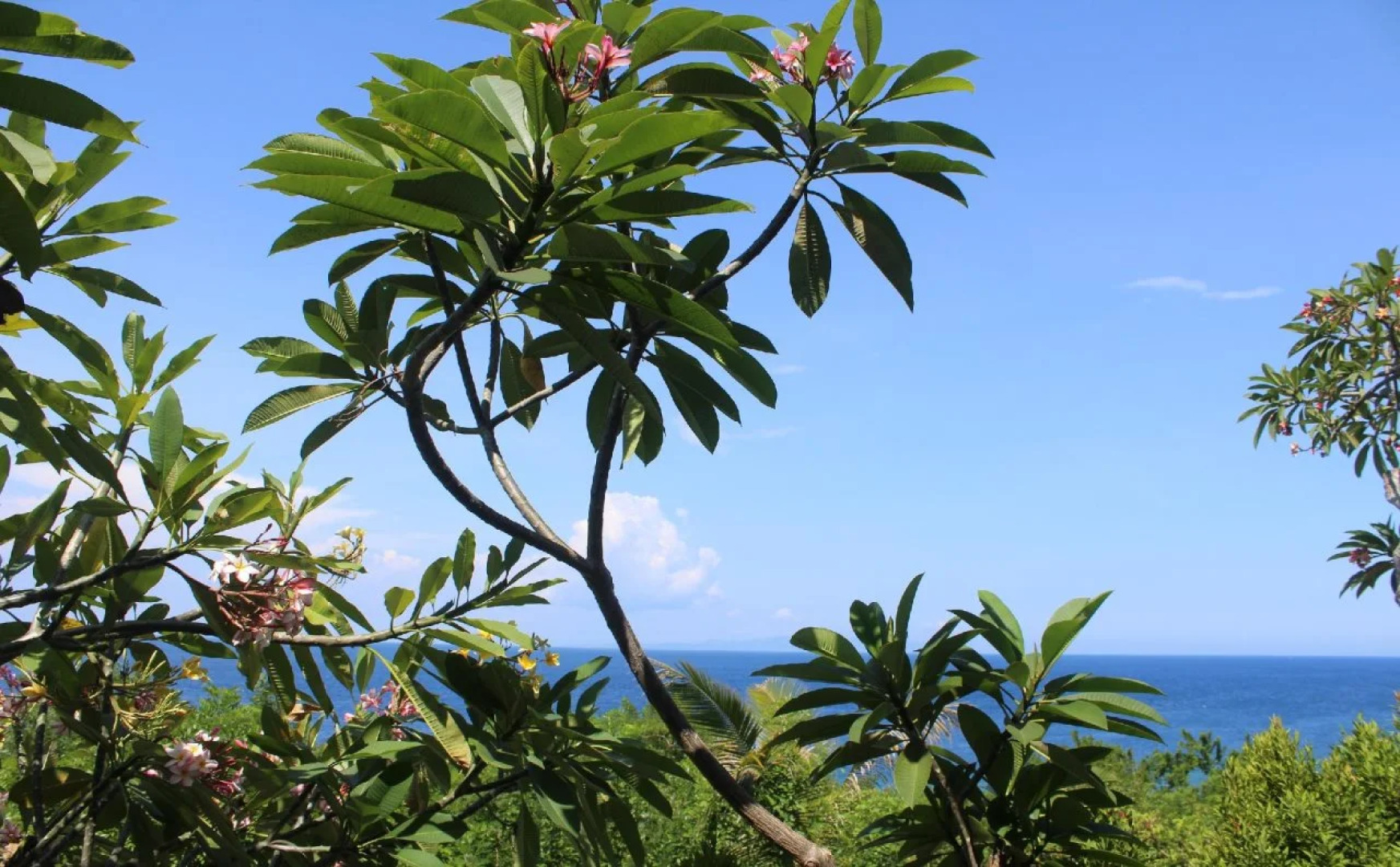 Manta Cottage Seaview Plus