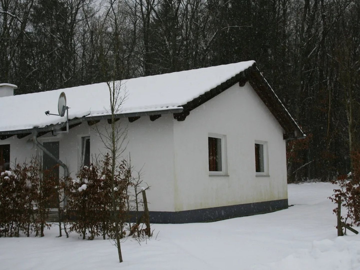 Bungalow Near Eifel Ski Lift