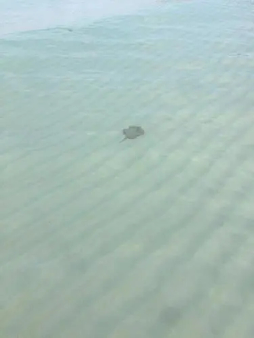 Ryta Beach Bungalow & Resort