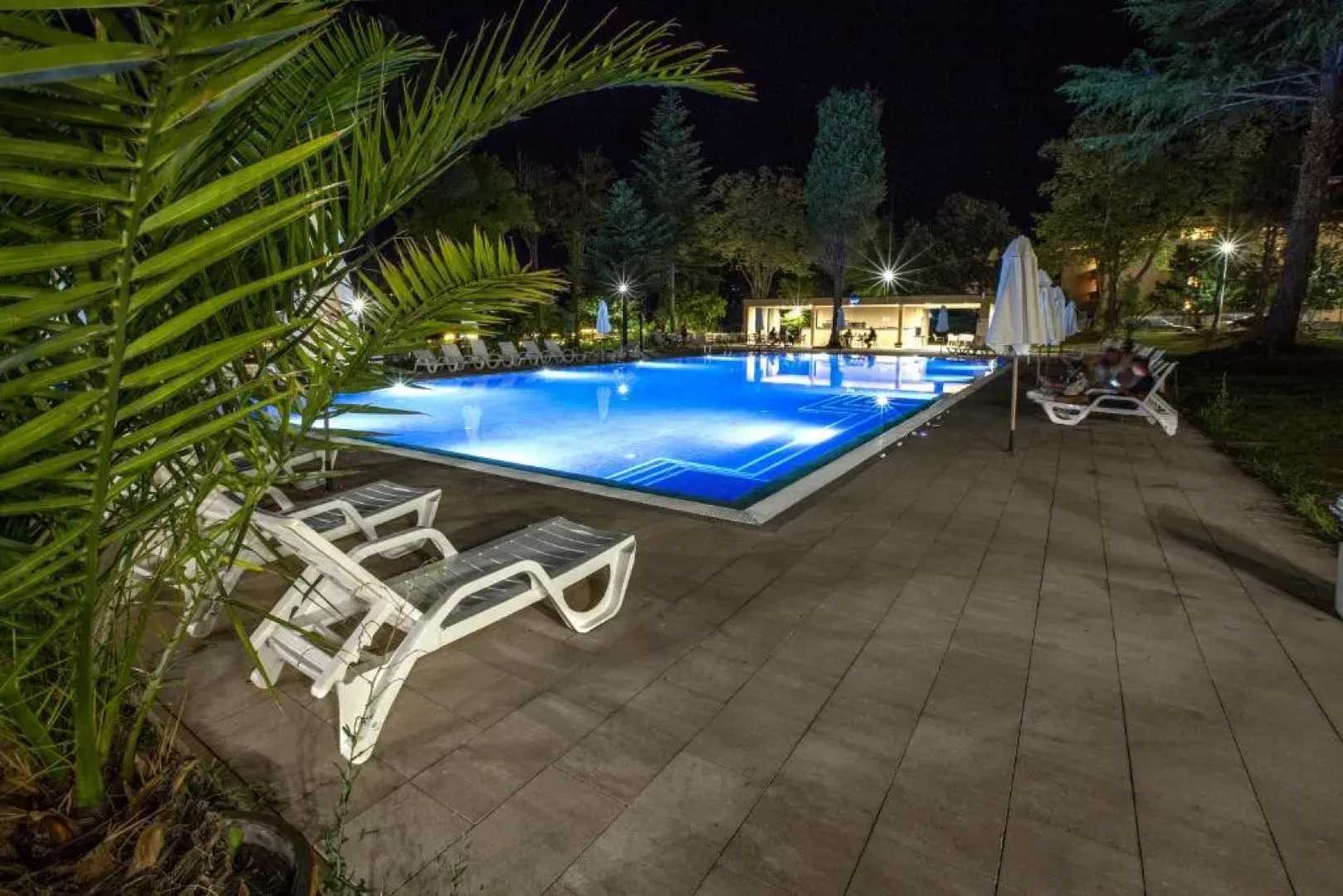 Queen Nelly Hotel Park