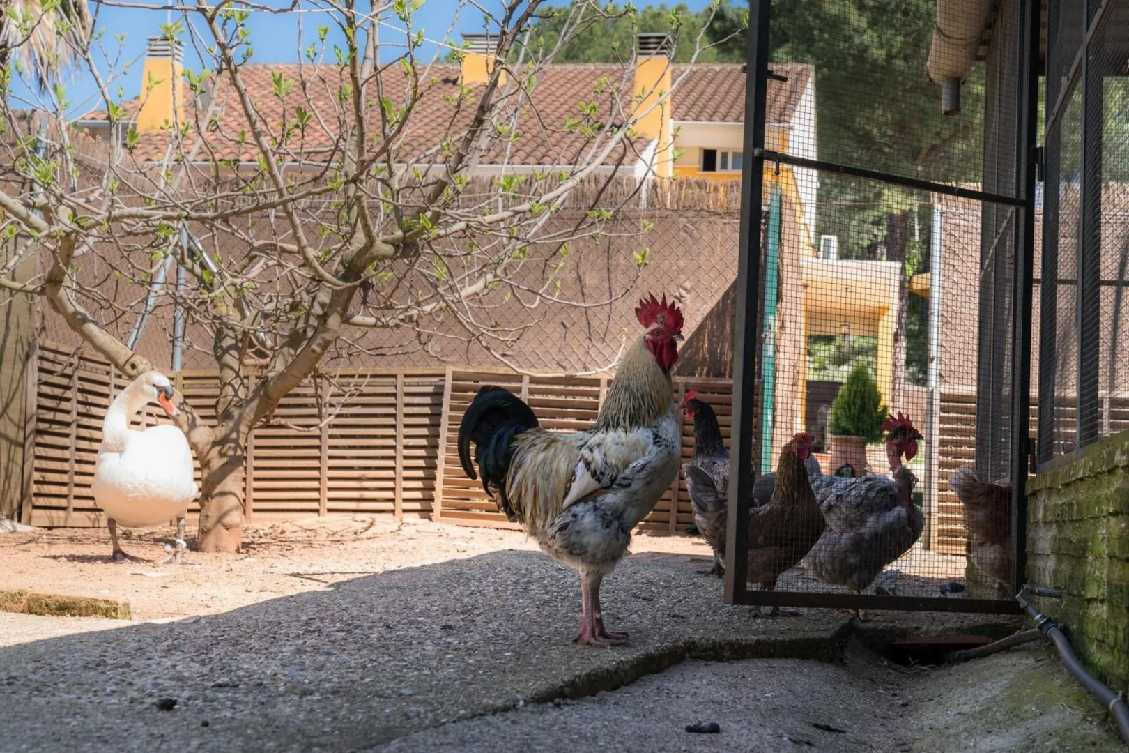 CT 102 CO - Casa El Lago - Casa El Lago - CT 102 CO