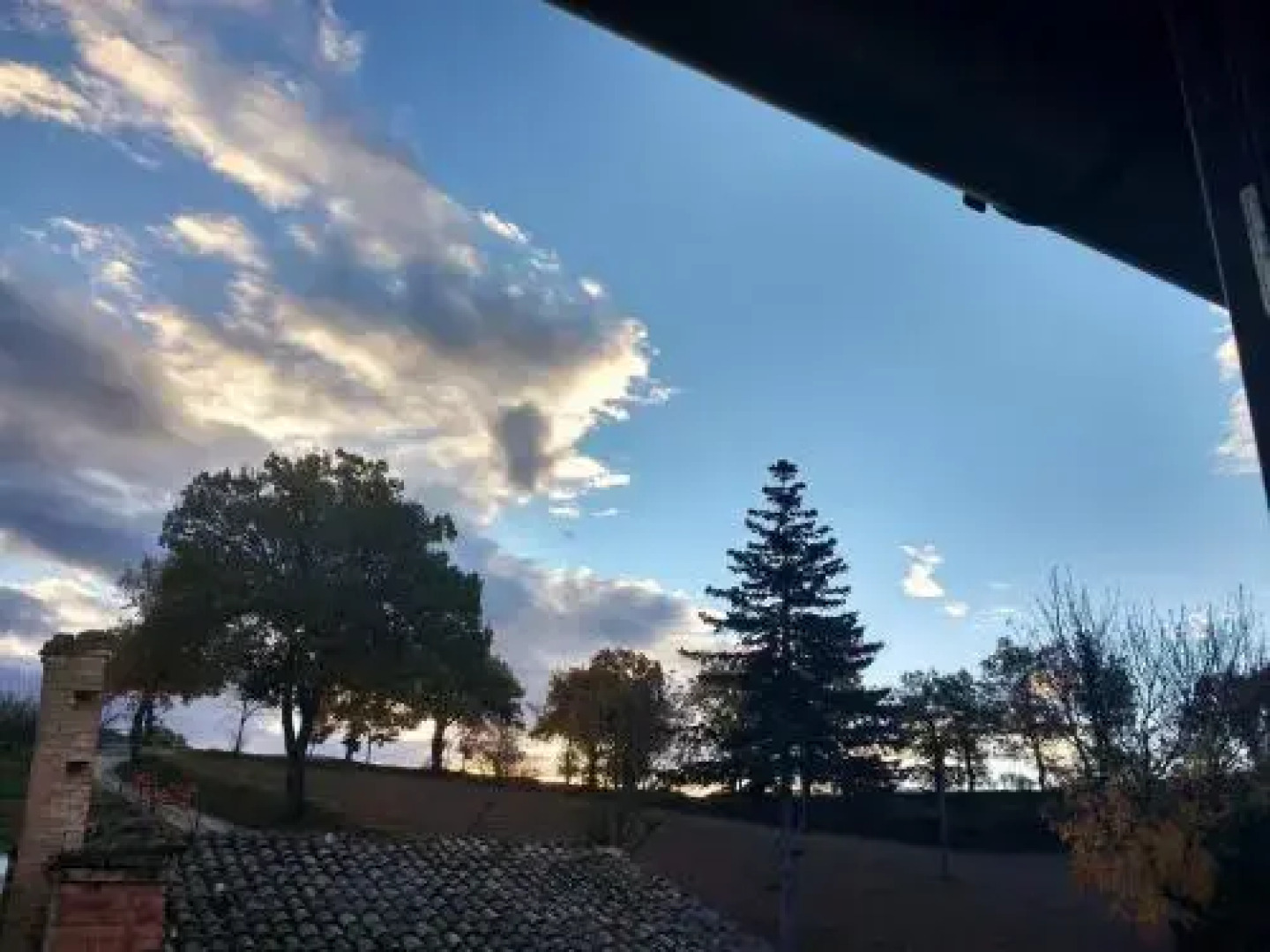 Anthoria B&B-Monolocale