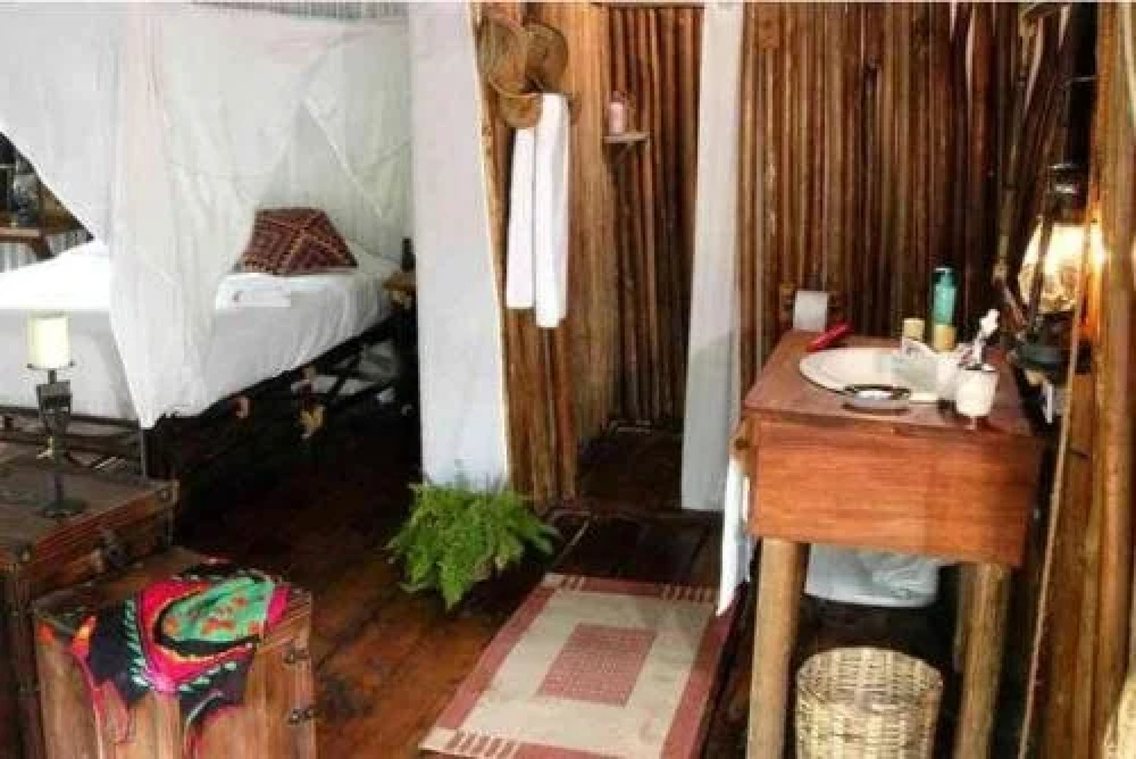 Expediciones Mexico Verde