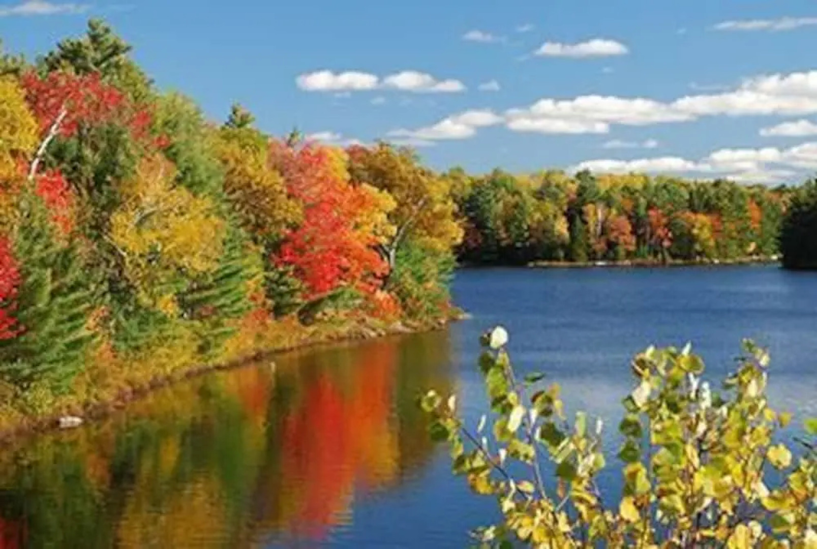 Villa Lago Muskoka Meets Malibu in Port Carling!