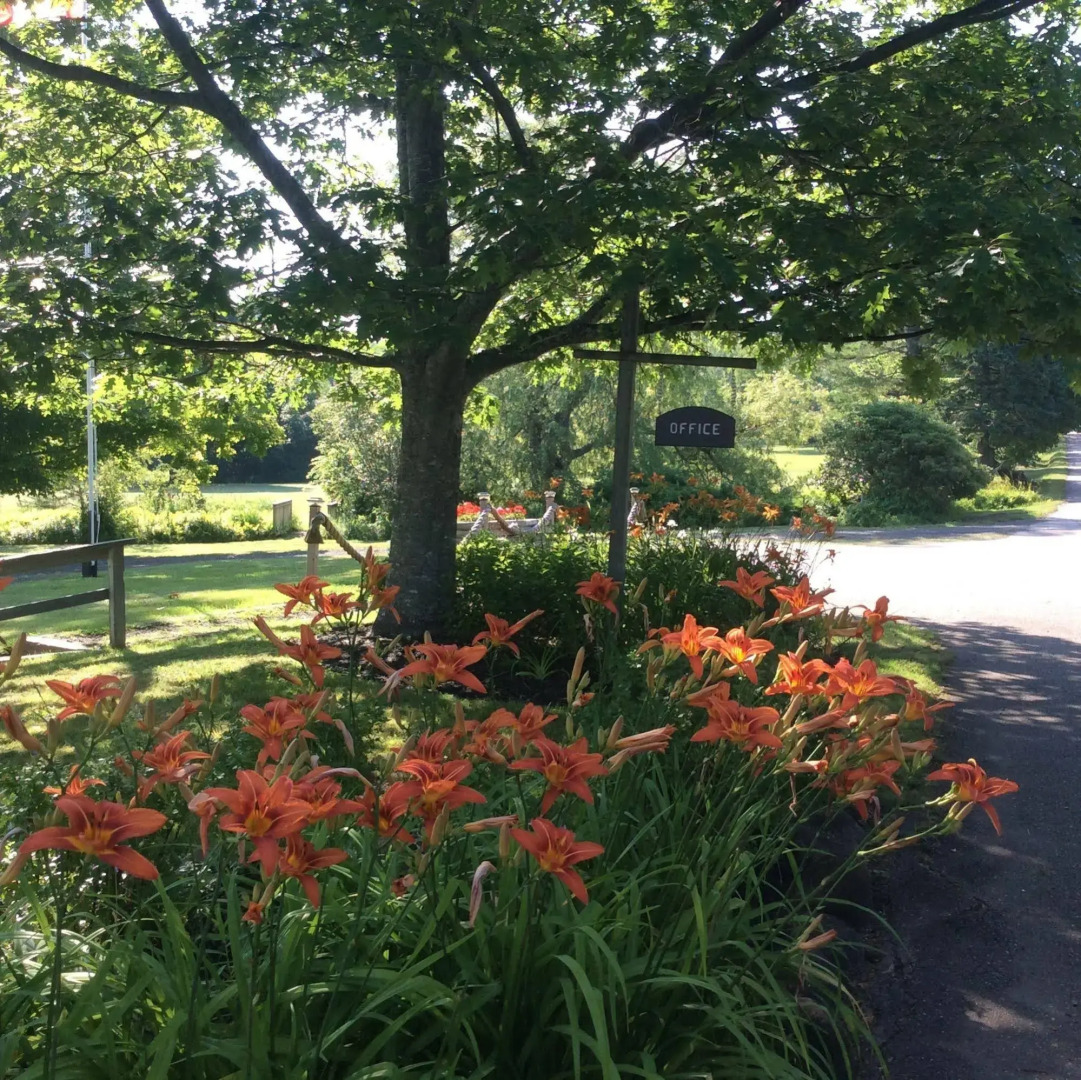 Villages of mountain Gap Cottages