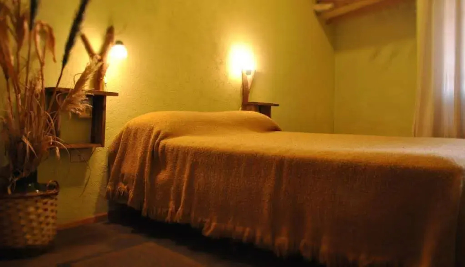 Olivos y Bodegas Cabañas