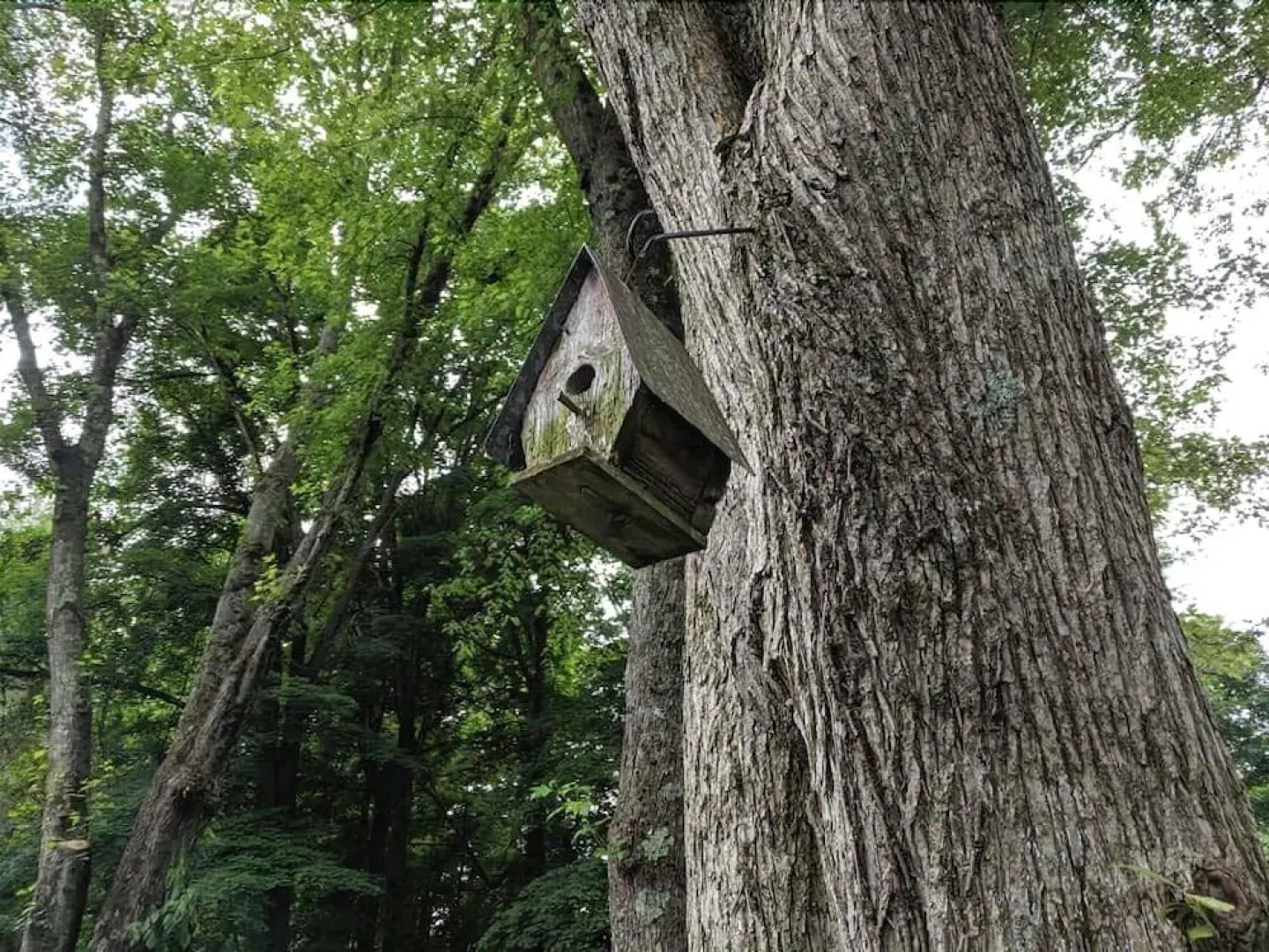 Sheffield 1802 House