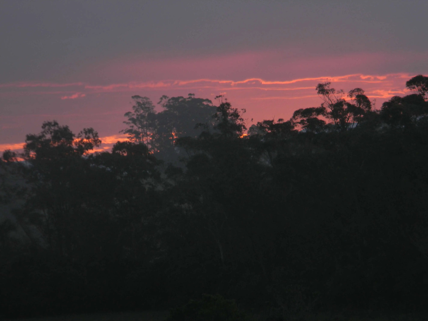 Morada das Bromélias