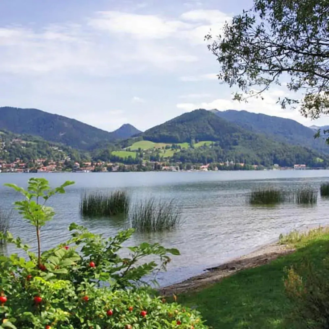 Studio - Landhotel Sonnenfeld