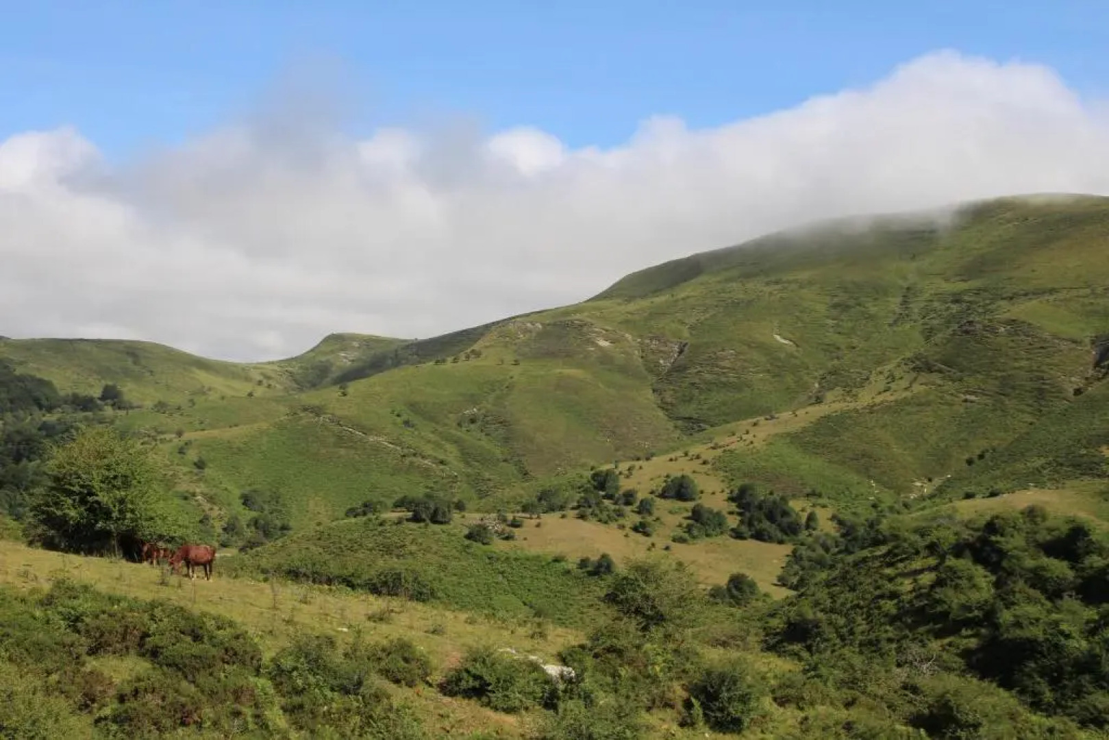 Apartamentos Zabalarena Artzaia