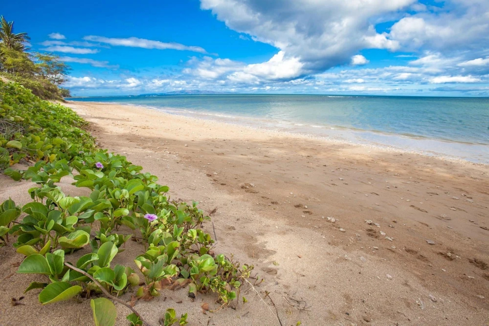 Luana Kai D305 by Coldwell Banker Island Vacations