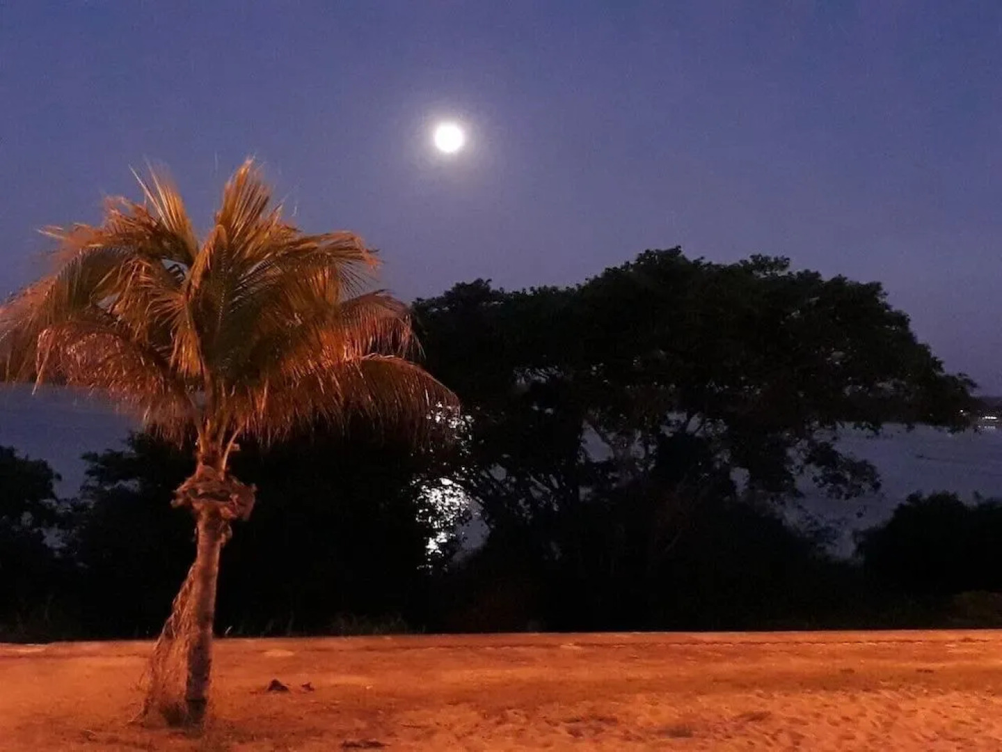 Taruma Tropical Hotel