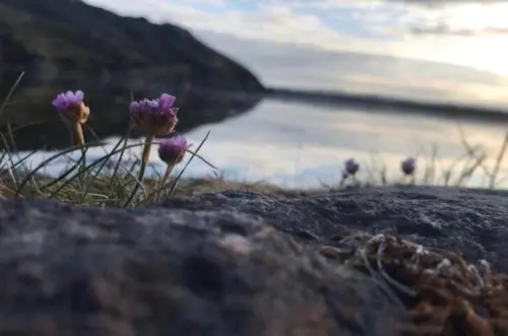 The Village Way Apartments