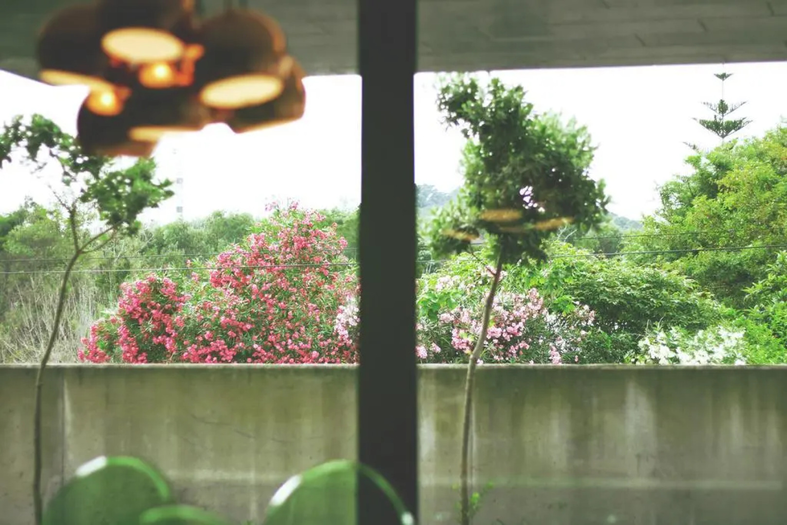 Deluxe Populo Beach Apartments