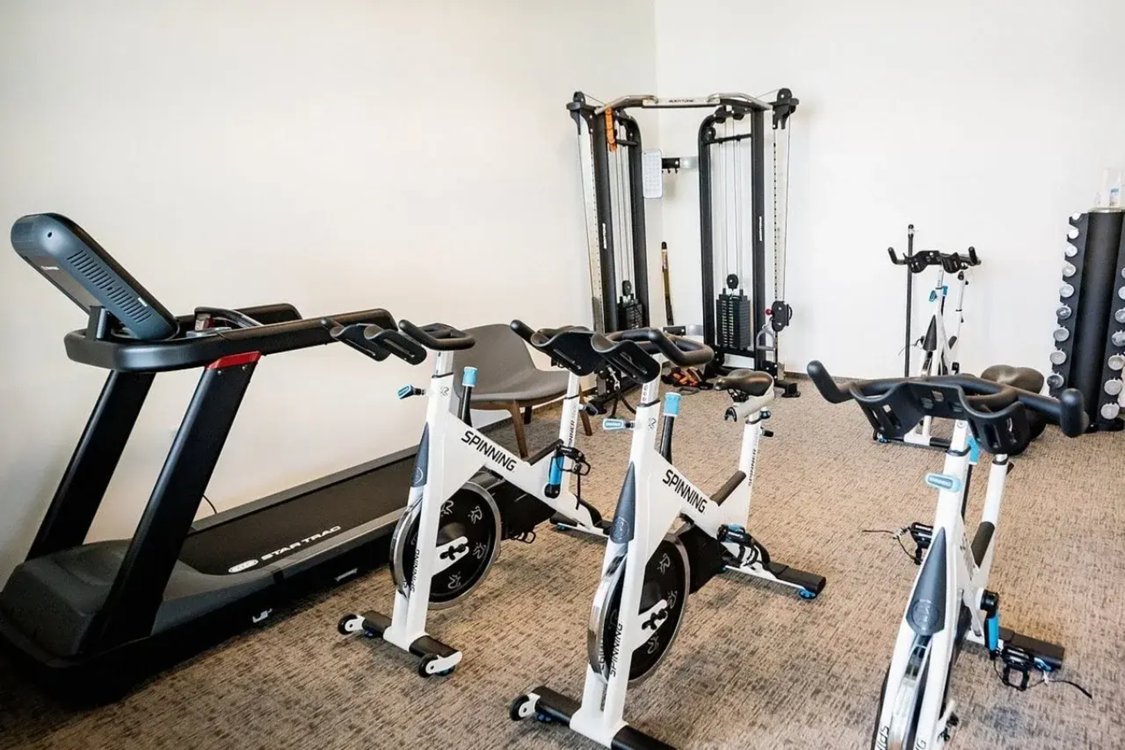 ibis Styles Ljubljana The Fuzzy Log