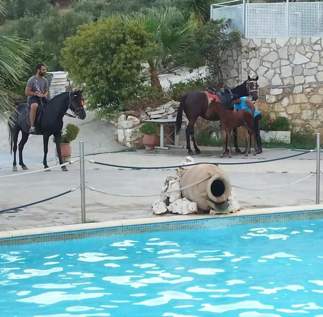 Giannis Village Resort