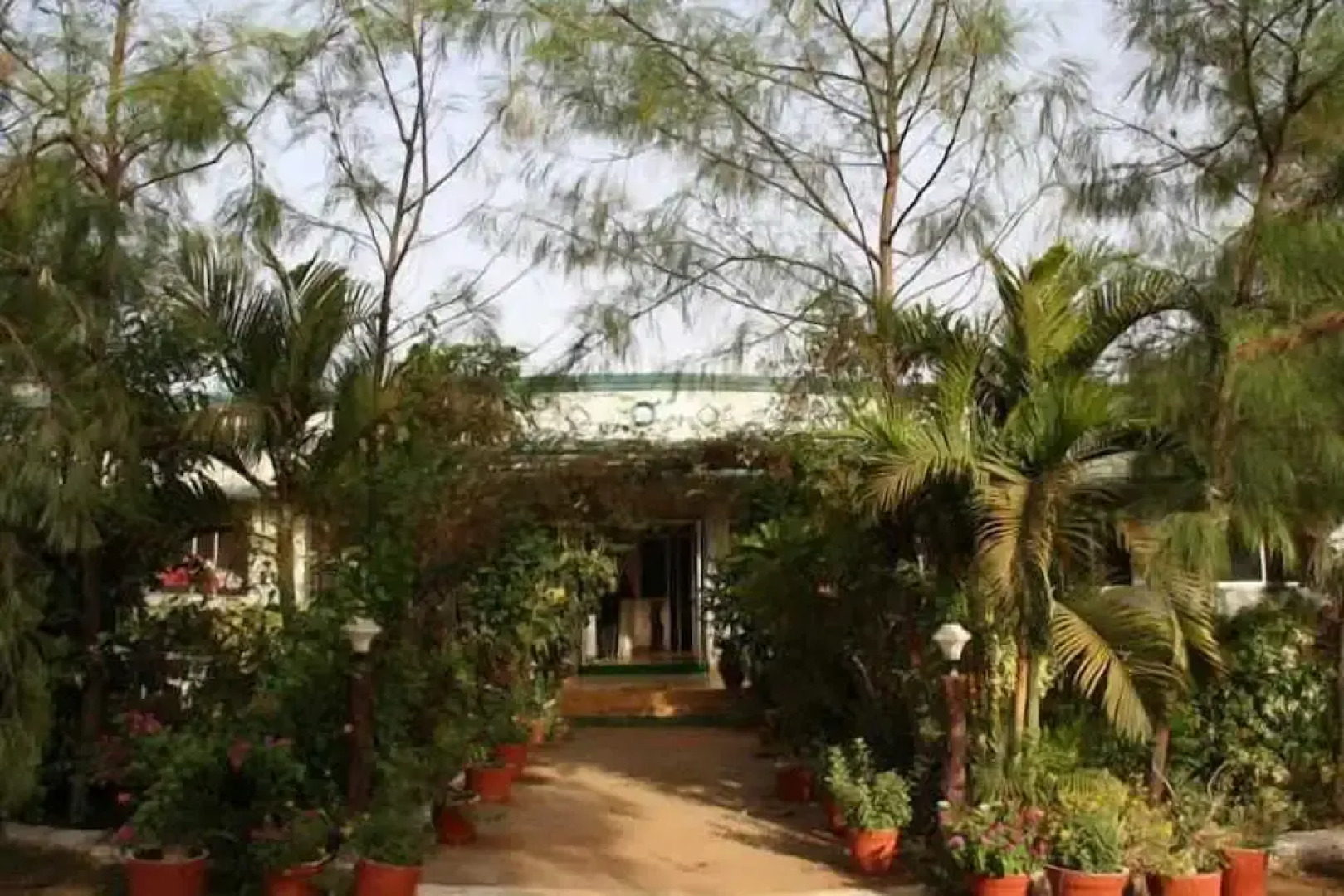 United-21 Tigers Habitat