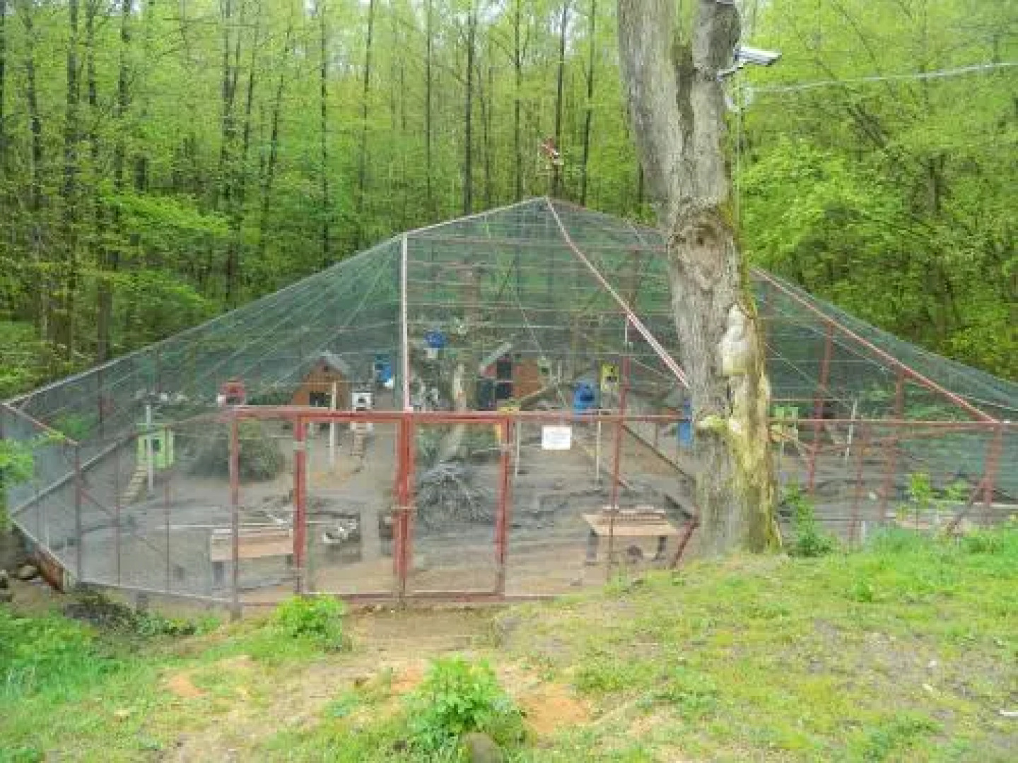 Pałac w Witosławiu ośrodek apifitoterapii "APIHERBA"