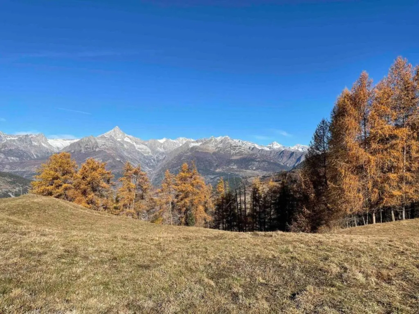 Appartement for Holiday Lodge 1891