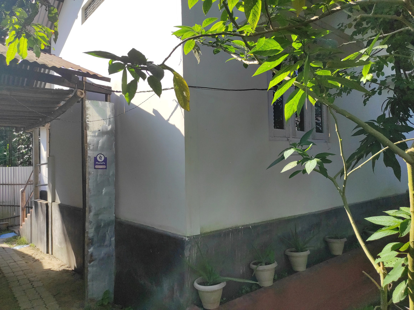 Homocation Manas Green Homestay