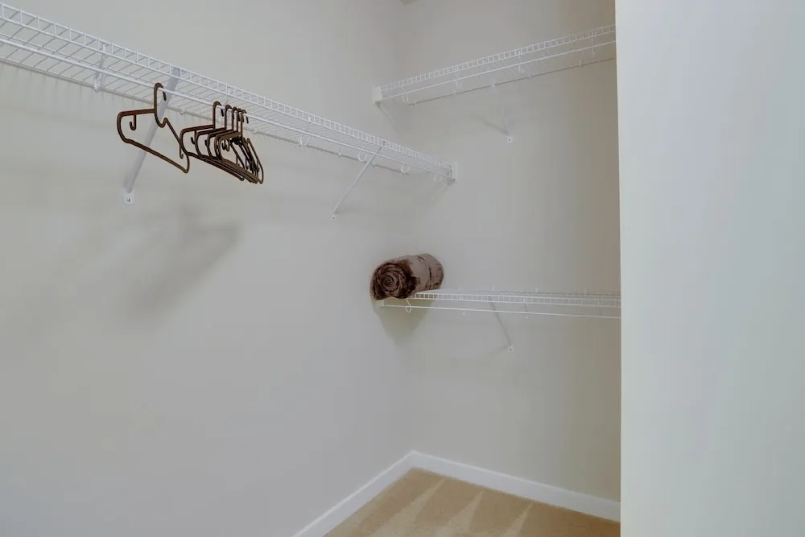 Comfortable Apartment in Alexandria