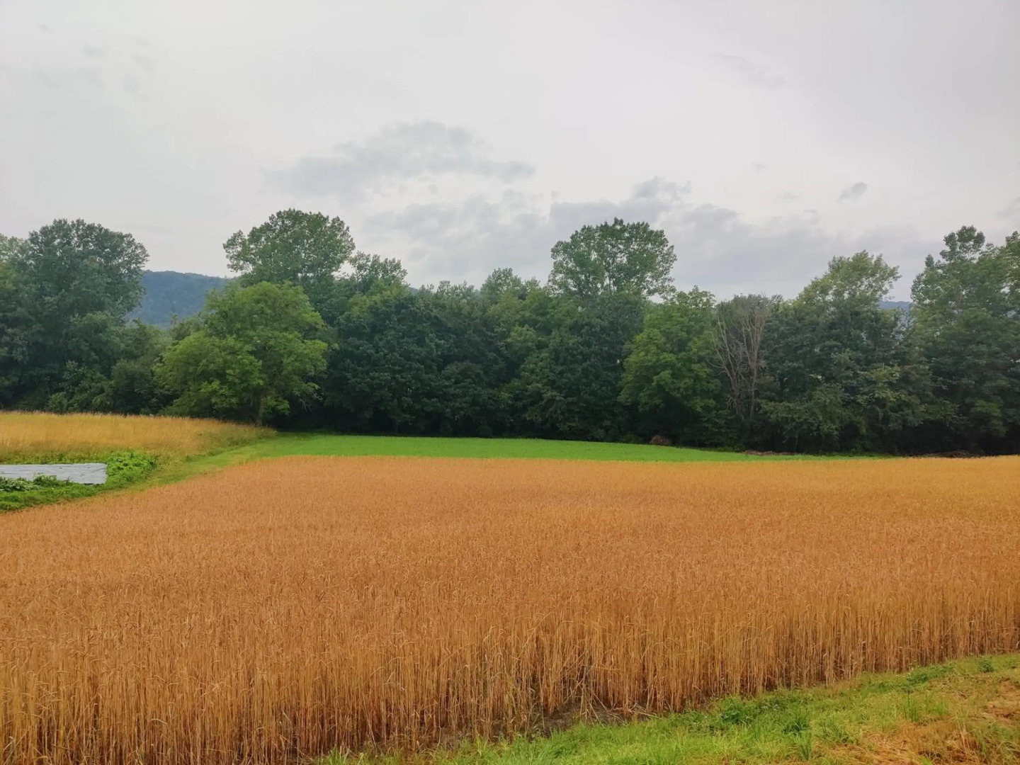 Agriturismo Munarin Caterina