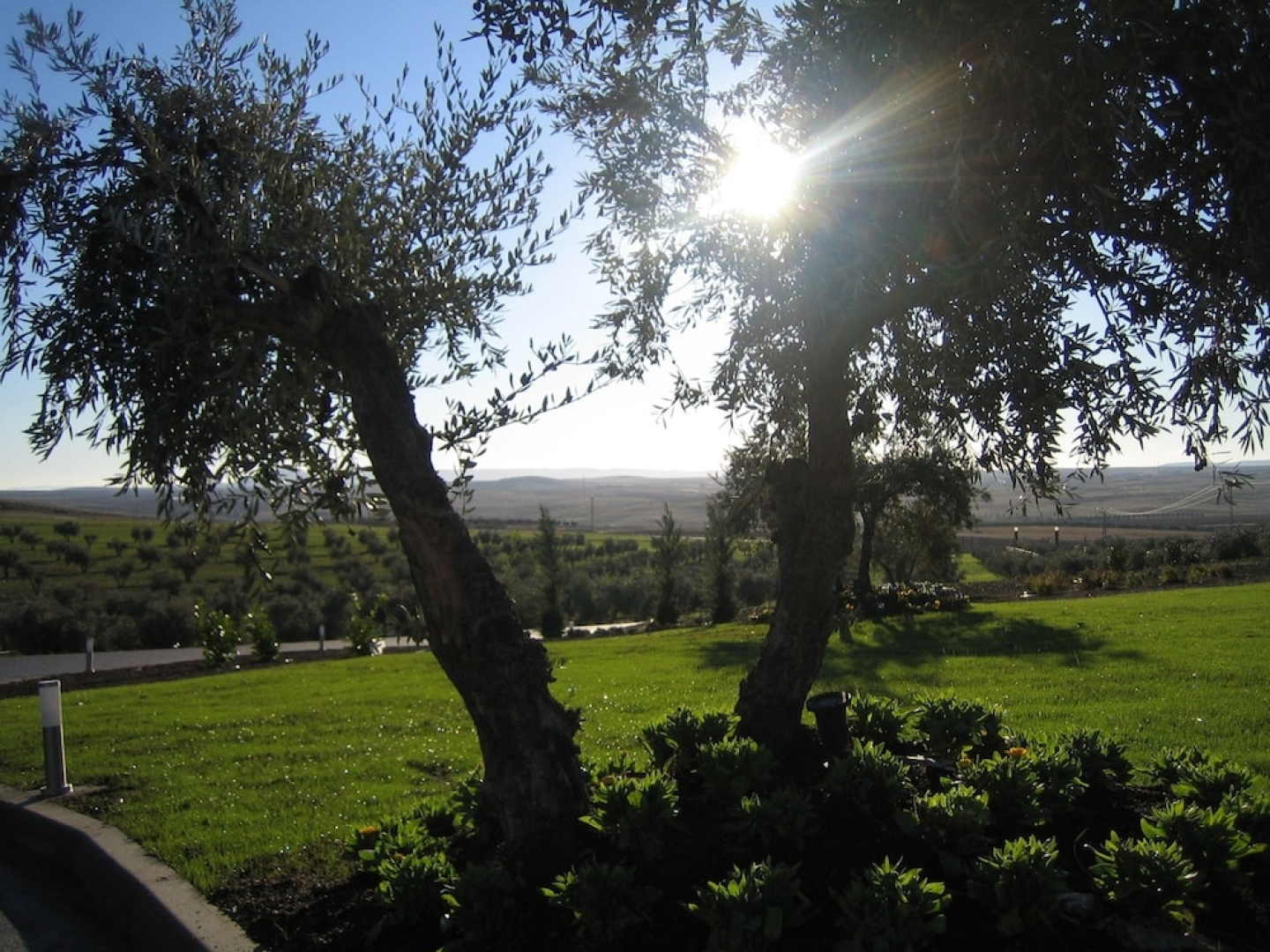 Hotel Spa Villa Nazules