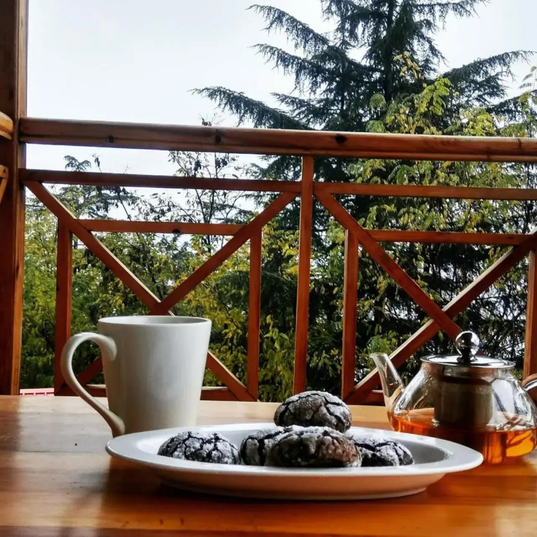 Soham's Chateau De Naggar