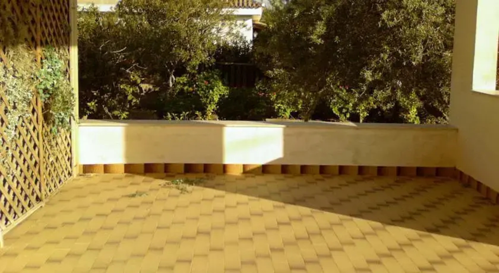 Frescura Tra i Carrubi