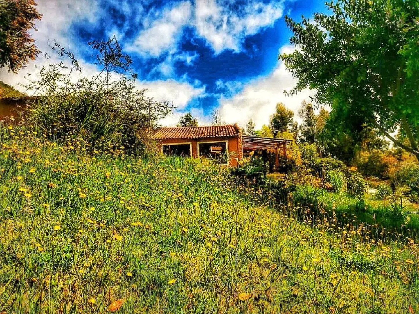 The Naked House Sabana - Hotel Nudista