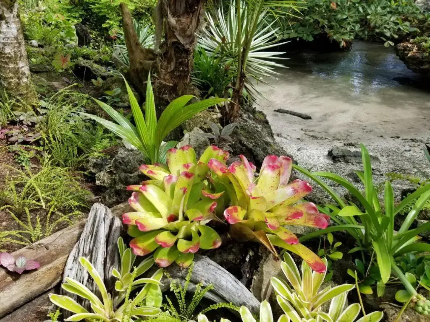 Piscina Natural on the Sea