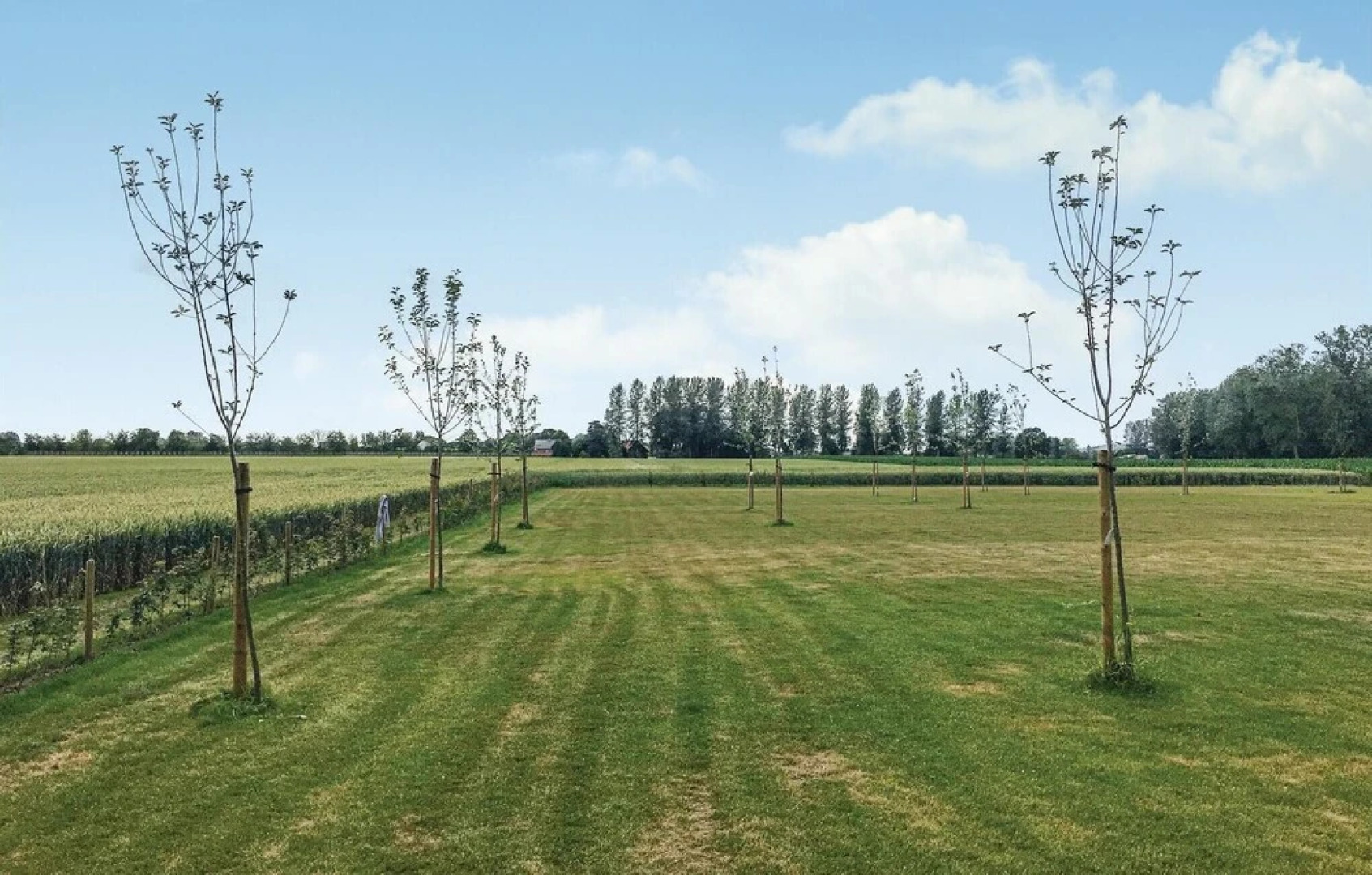 Stunning Home in Wellen With 4 Bedrooms and Wifi