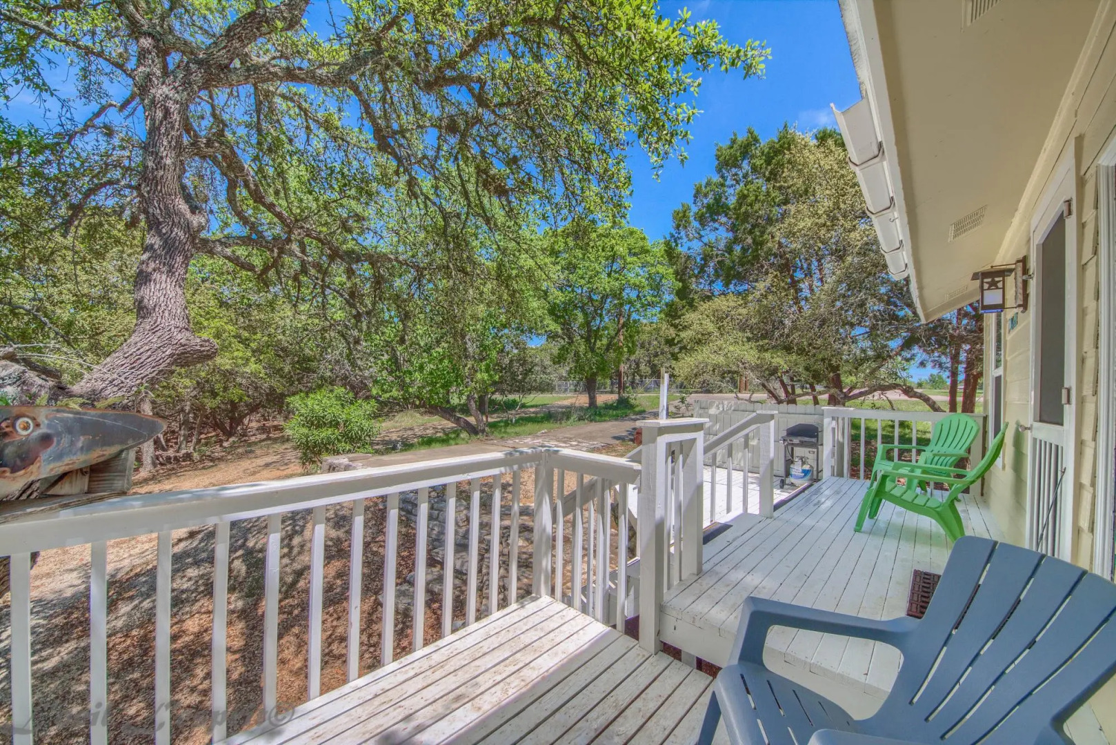 Yellow Rose CL 2459 in Canyon Lake