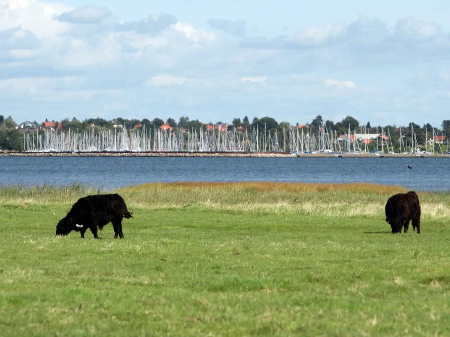 Charming Holiday Home in Jægerspris With Sauna