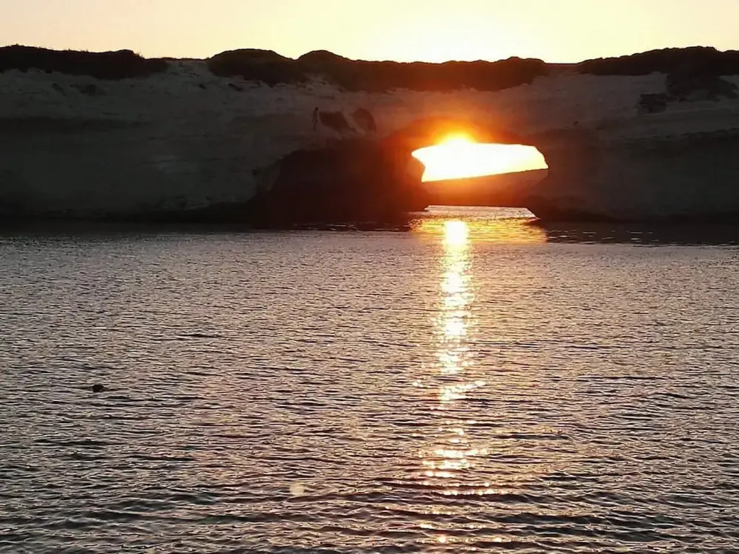 L'araucaria Guest House