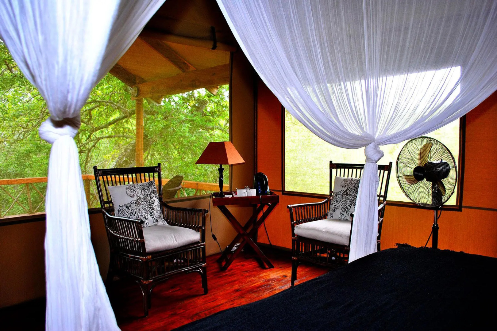 Lion Tree Top Lodge