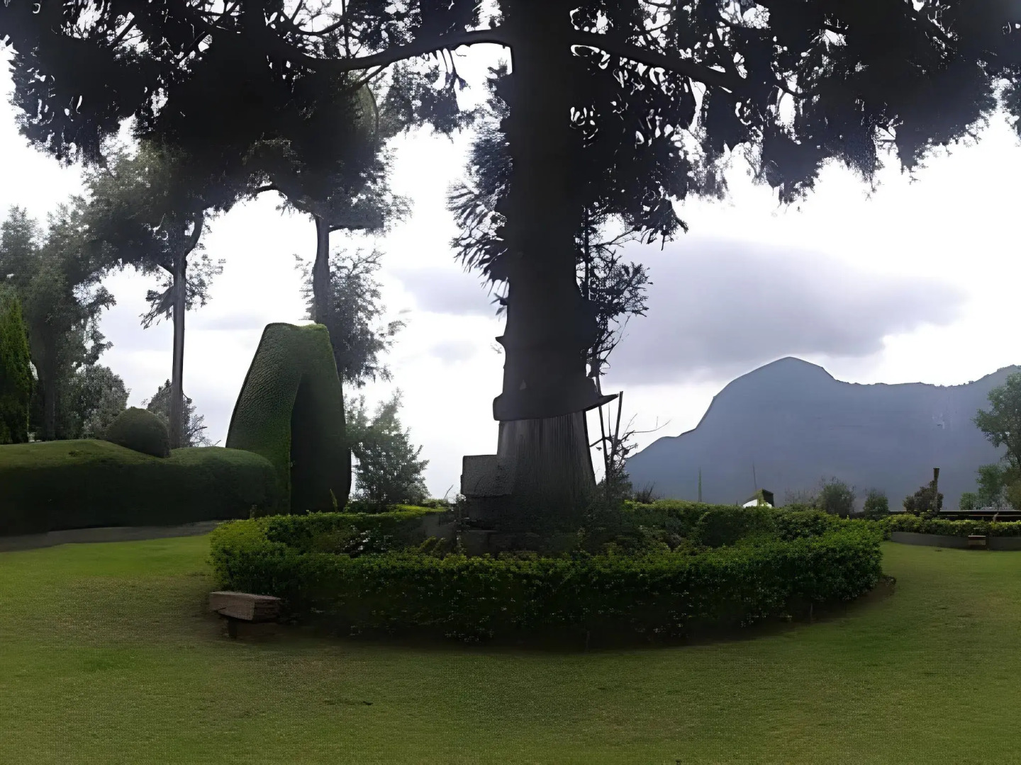 Teanest – Nature Resorts, Coonoor