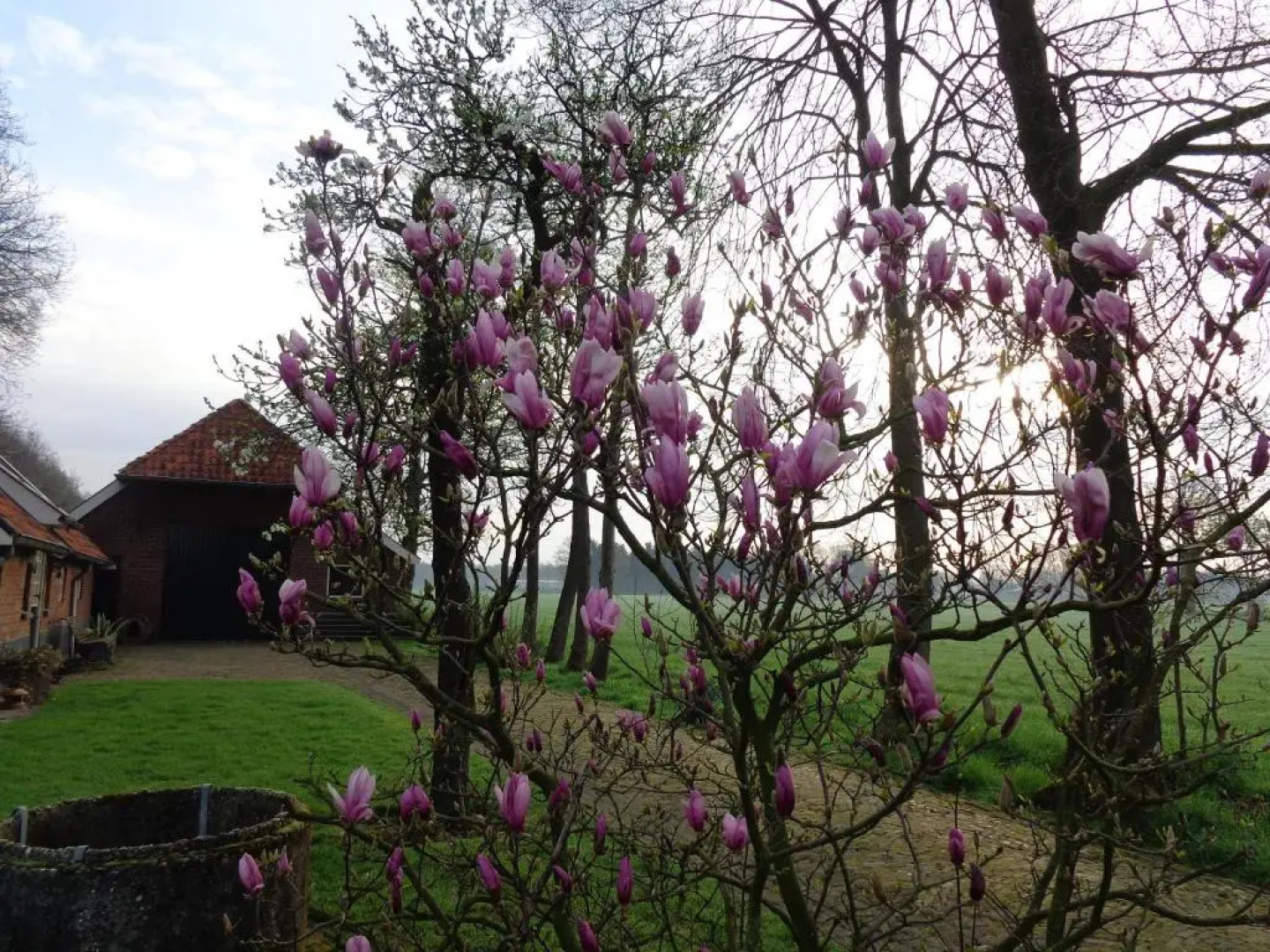 Thil's Bed and Breakfast