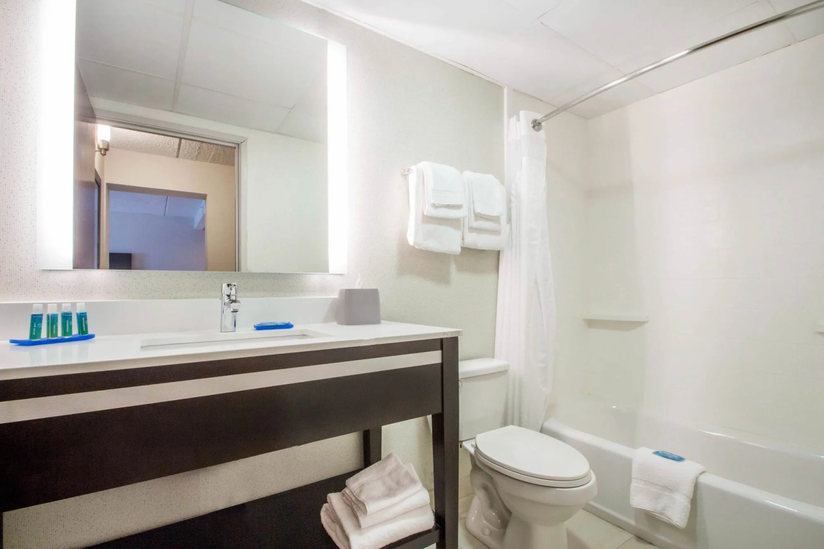 Holiday Inn Express and Suites Albany Airport- Wolf Road by IHG