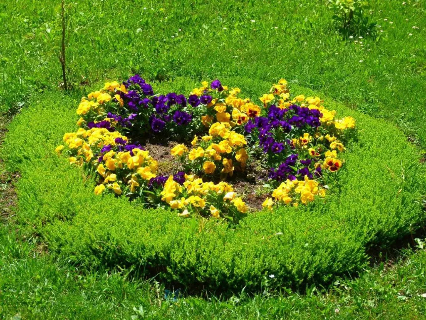 Hajdu Lovasudvar Hortobágy