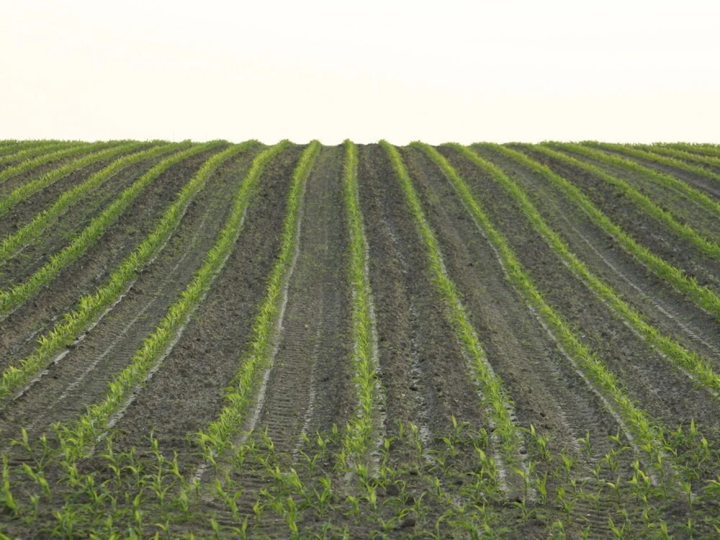 Cosy Chalet With gas Fireplace in Twente