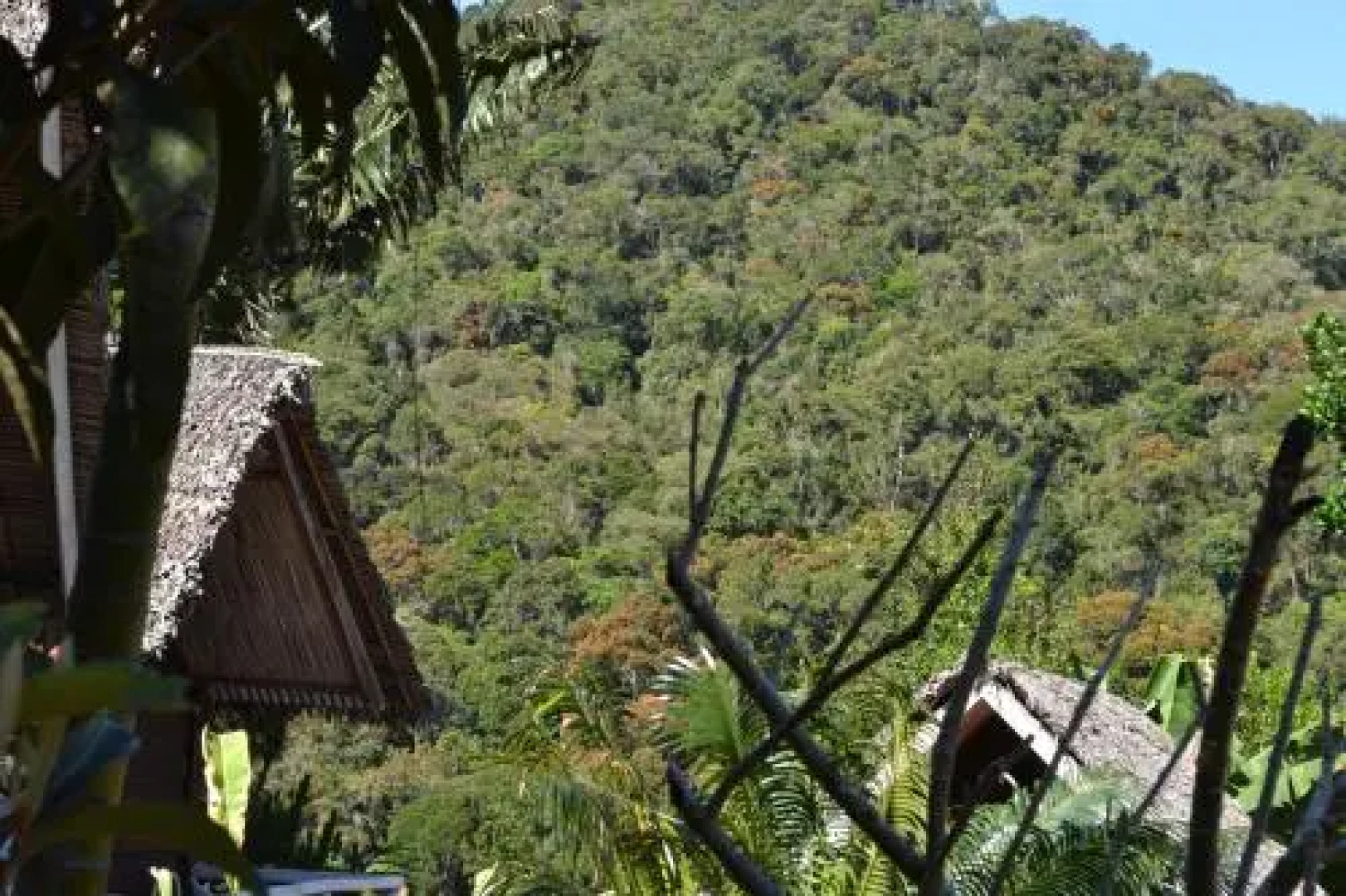 Fôret Austral Ranomafana- Fianarantsoa