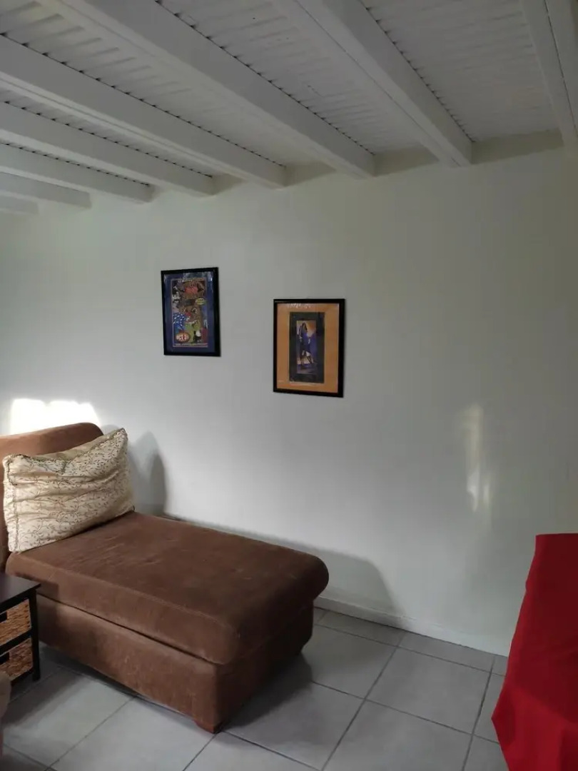 La Jungla Experience