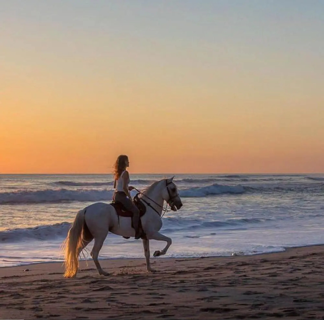 Atrapasuenos Dreamcatcher Hotel