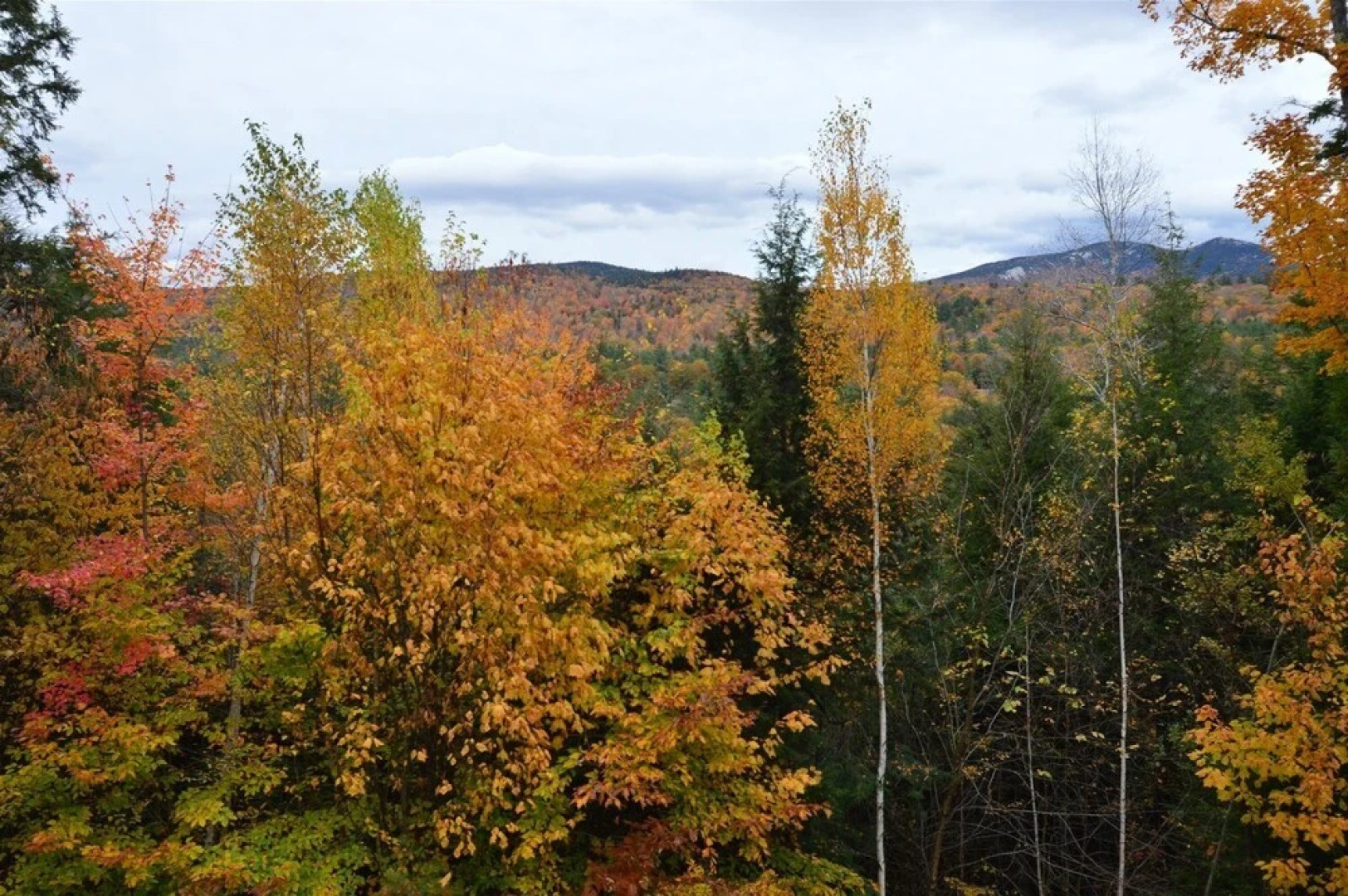 Private Pet Friendly 4 Bedroom Deluxe Vacation Home, Close to Waterville Valley Resort! - Wv68t