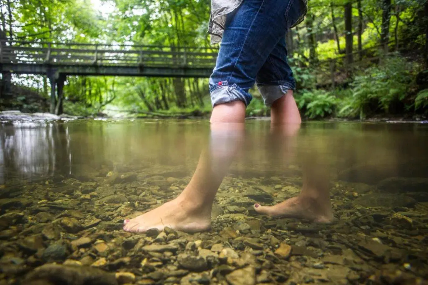 Hotel-Restaurant Schettel