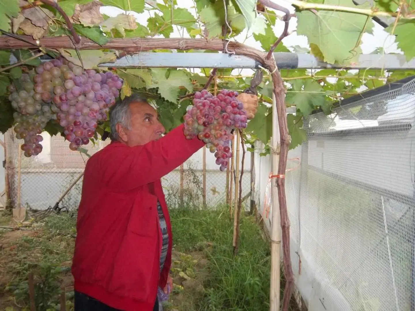 Art House Hostel Aleksandr