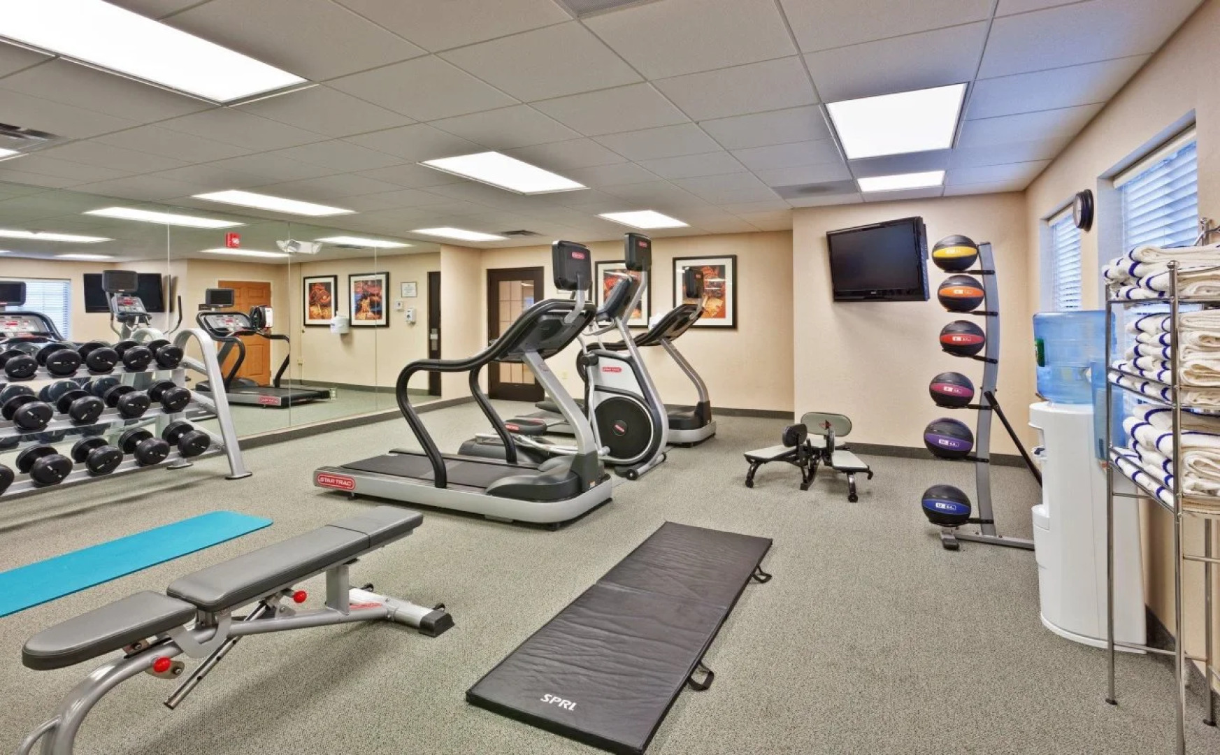 Staybridge Suites Williamsville Buffalo by IHG