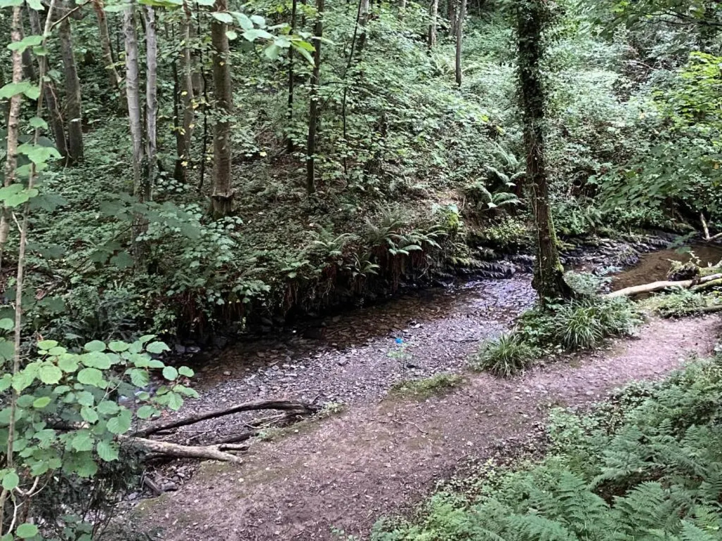 Forget-Me-Not 46 Woodlands Park New Quay